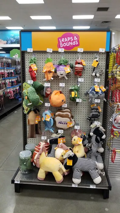 Petco Picture 10