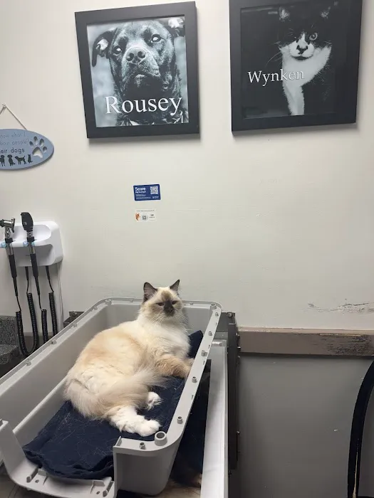 Clover Farm Veterinary Service Picture 8
