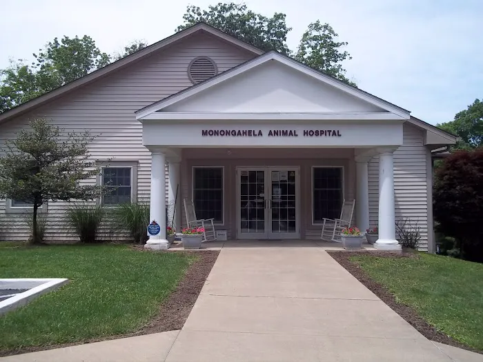 Monongahela Animal Hospital Picture 3
