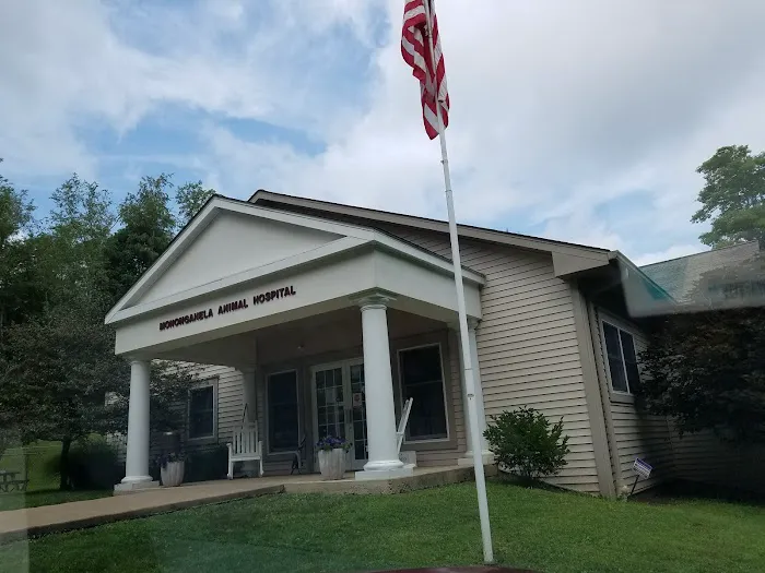 Monongahela Animal Hospital Picture 2