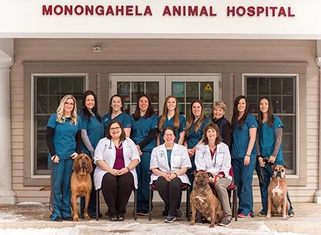Monongahela Animal Hospital Picture 4