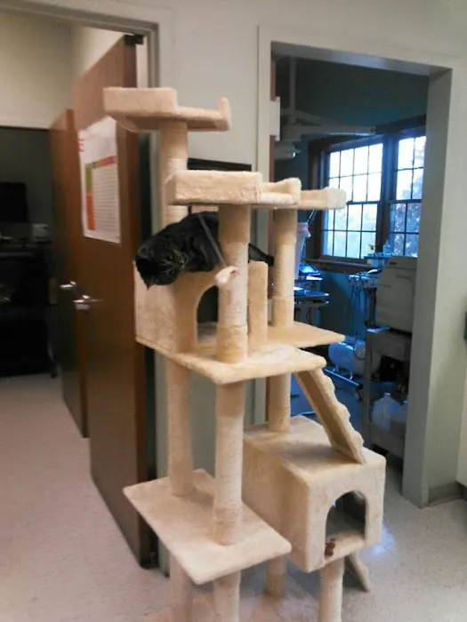 Monongahela Animal Hospital Picture 9