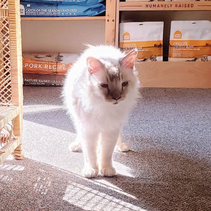Country Pet Shoppe Picture 4
