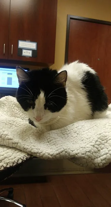 Affordable Care Vet Clinic Picture 6