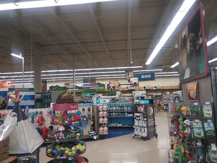 Petco Picture 2