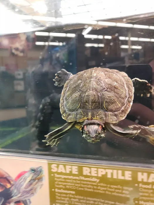 Petco Picture 3