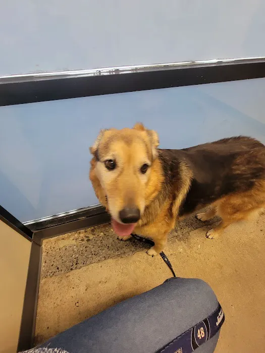 Vetco Total Care Animal Hospital Picture 7