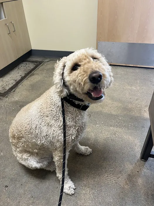 Vetco Total Care Animal Hospital Picture 4