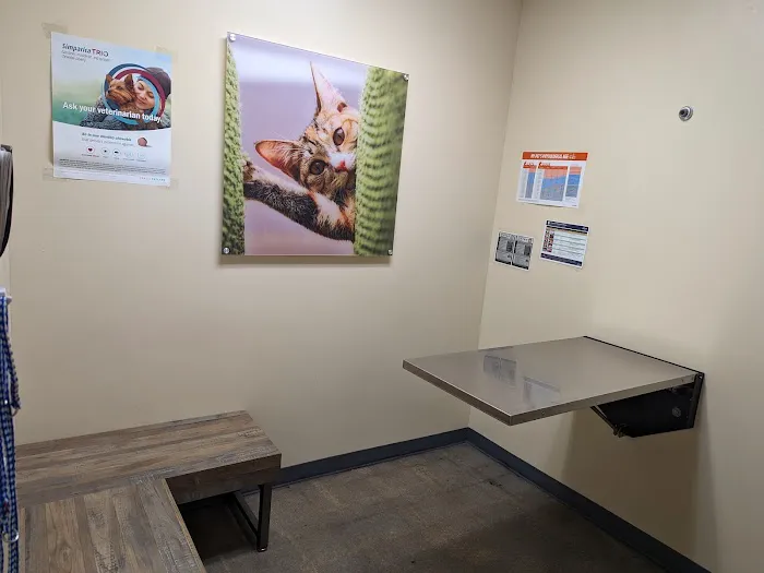 Vetco Total Care Animal Hospital Picture 6