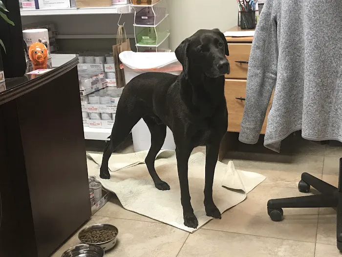 Family Pet Clinic Picture 2