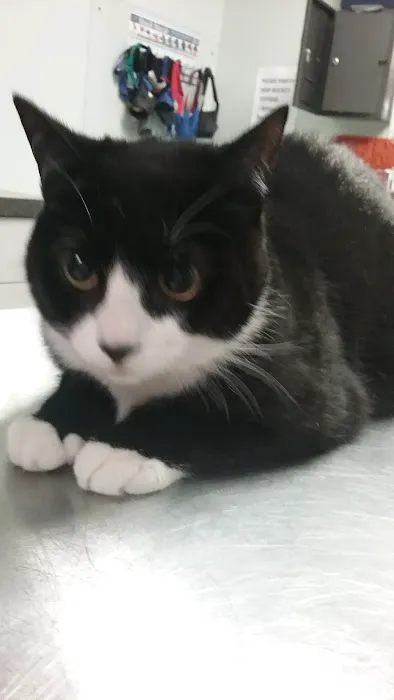 Family Pet Clinic Picture 1
