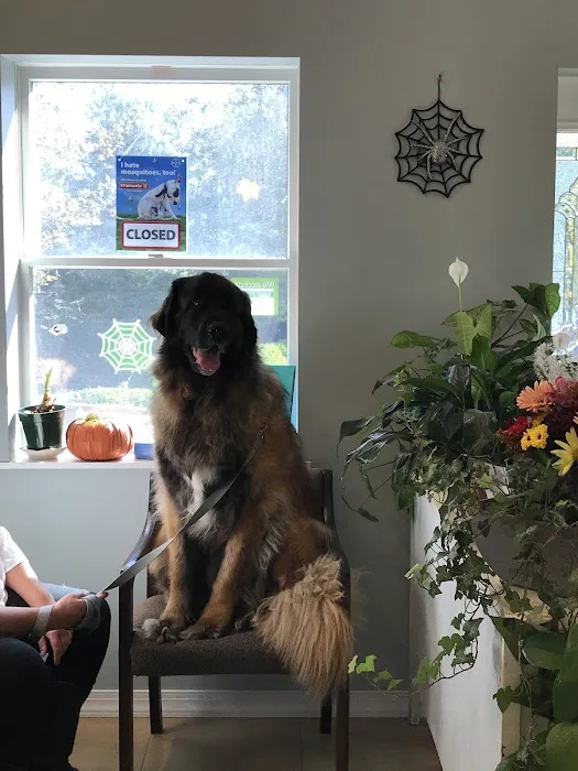 Family Pet Clinic Picture 4