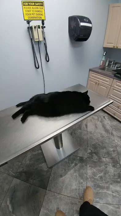 Family Pet Clinic Picture 6