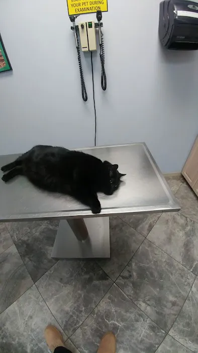 Family Pet Clinic Picture 5