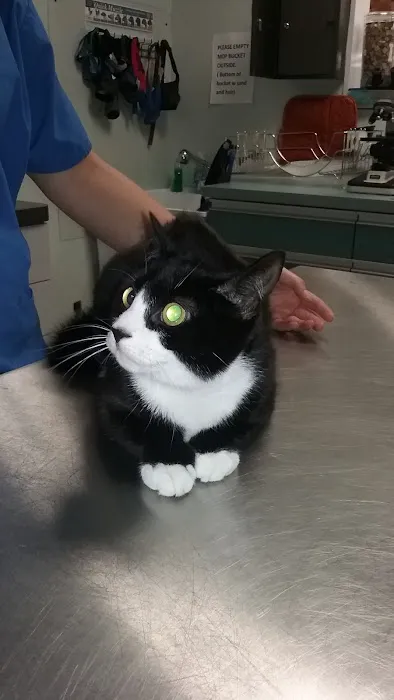 Family Pet Clinic Picture 9