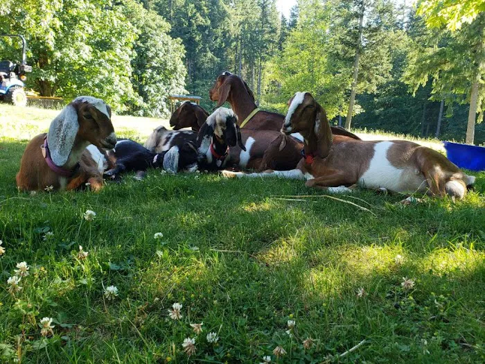Wapiti Farms Picture 8
