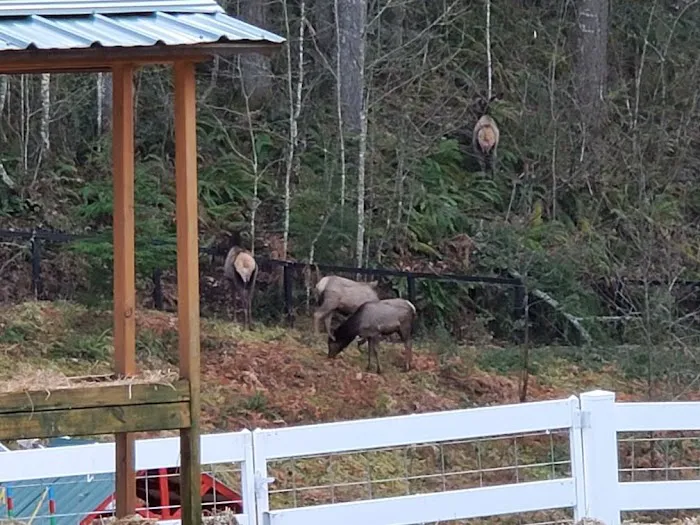 Wapiti Farms Picture 7