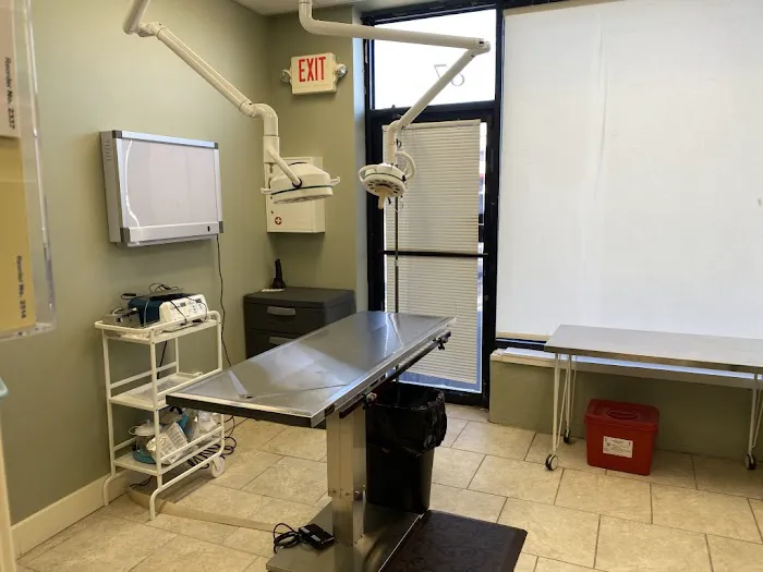Long Island Animal Surgery Picture 3