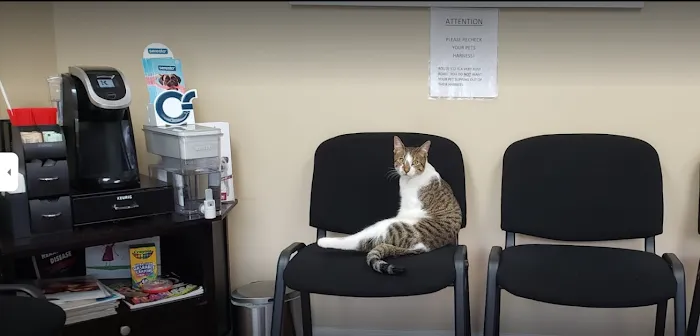 Veterinary Outpatient Treatment Center Picture 3