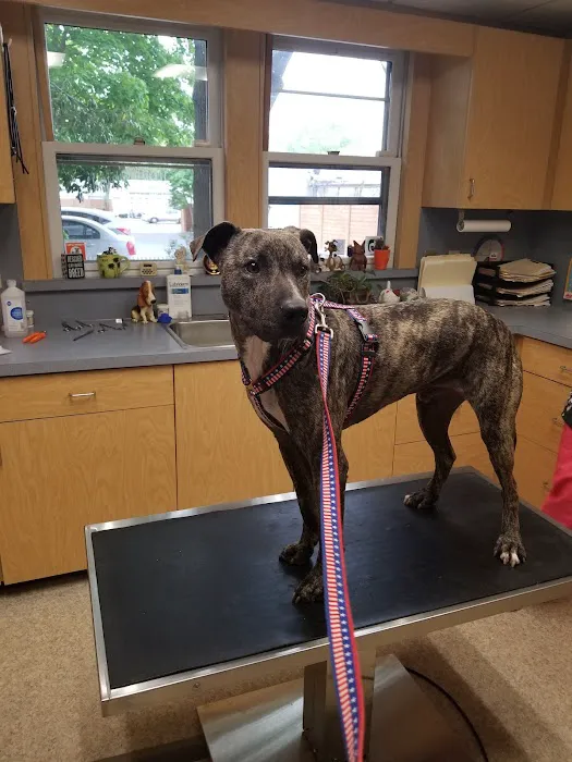 Patchogue Animal Hospital Picture 8
