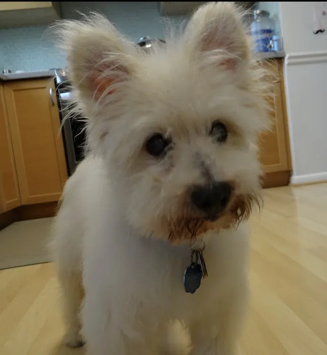 Patchogue Animal Hospital Picture 7