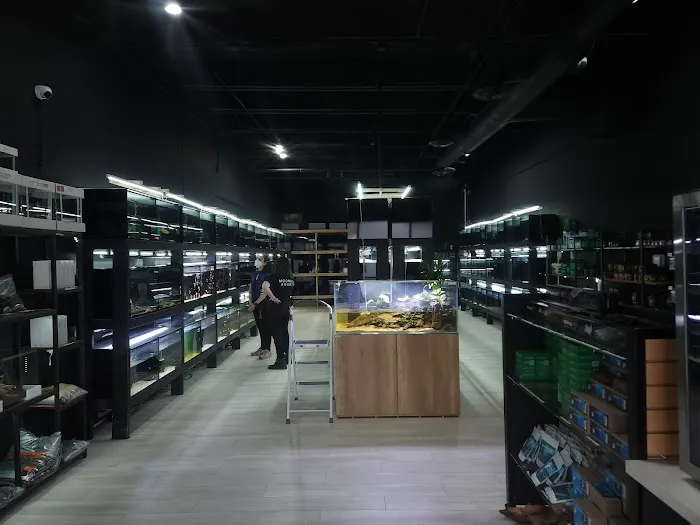 Moonlight Aquatics Picture 5