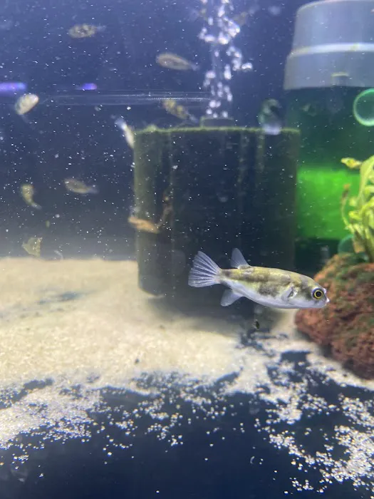 Moonlight Aquatics Picture 6