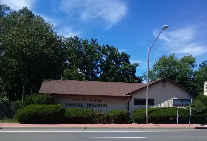 Miller Place Animal Hospital Picture 2