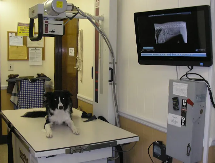 Miller Place Animal Hospital Picture 4