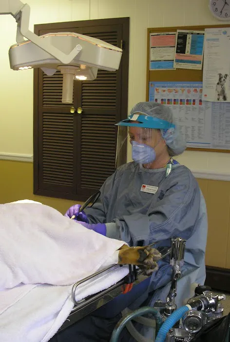 Miller Place Animal Hospital Picture 5