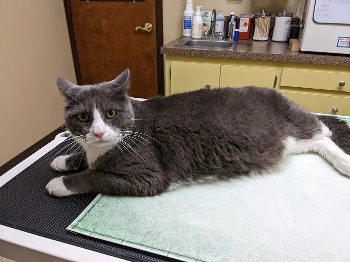 Miller Place Animal Hospital Picture 6