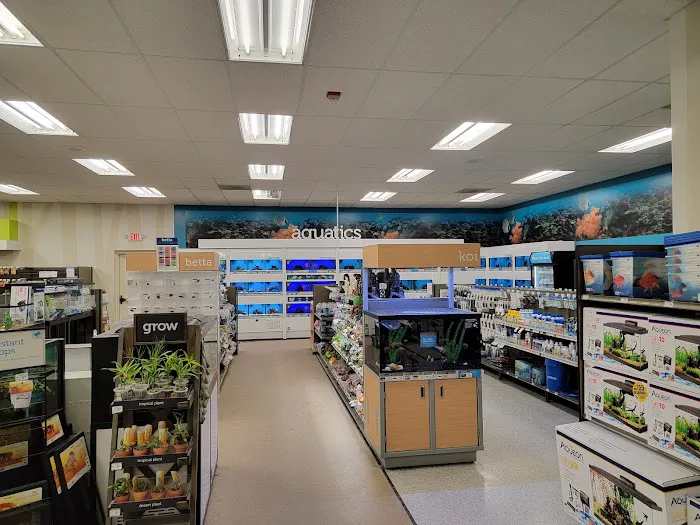 Petco Picture 4