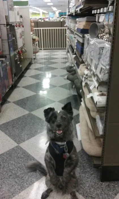 Petco Picture 1