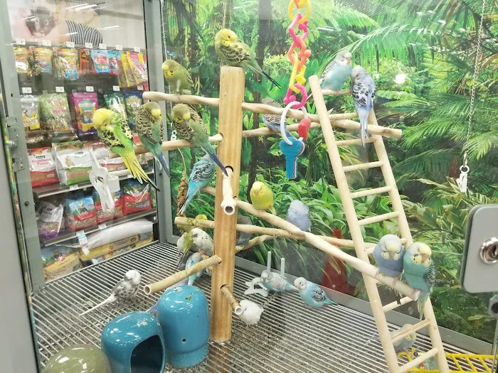 Petco Picture 3