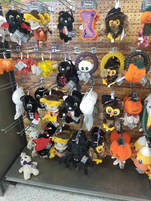 Petco Picture 9