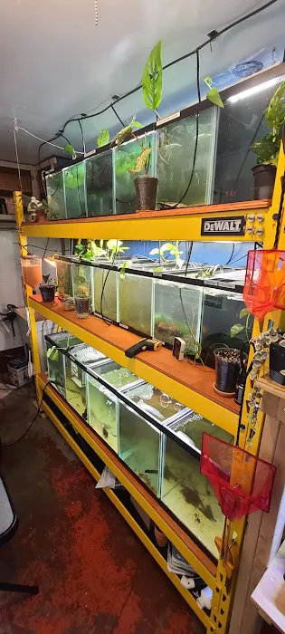 Ryan's Fish Shop Picture 1