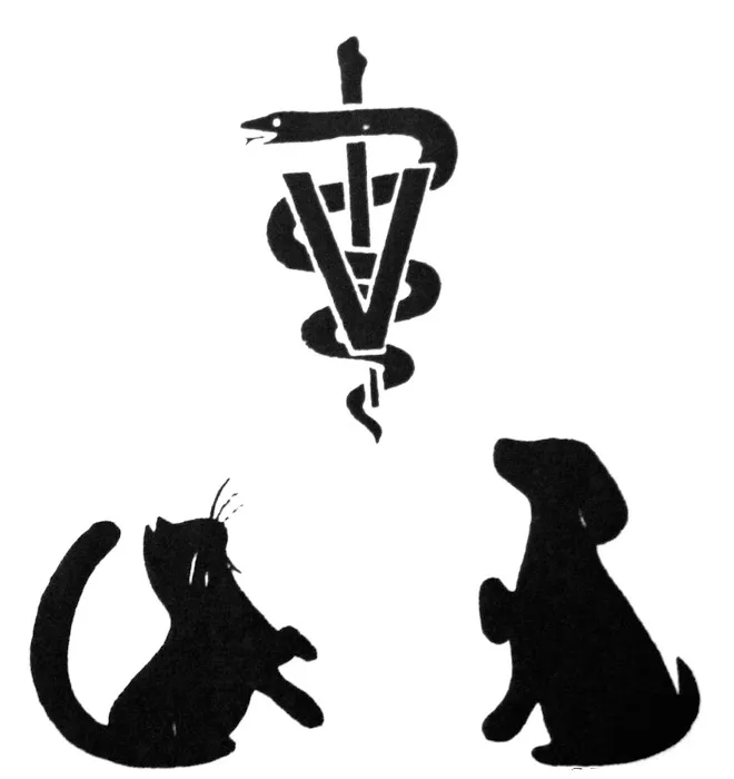 Rocky Shores Veterinary Hospital Picture 7