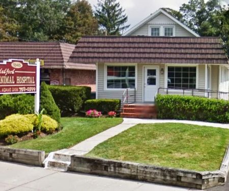 Medford Animal Hospital