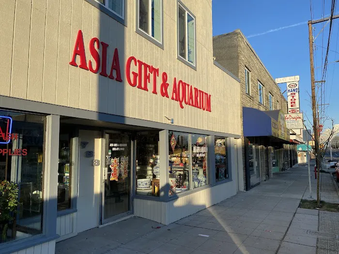 Asia Gift & Aquarium Picture 2