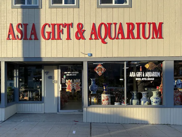 Asia Gift & Aquarium Picture 7