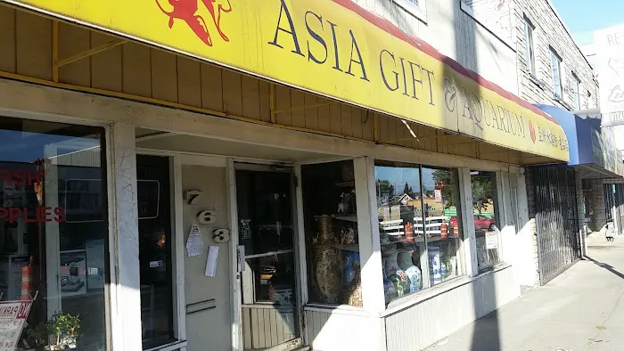 Asia Gift & Aquarium Picture 10
