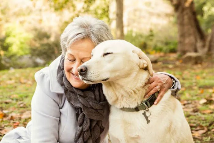 Pet Euthanasia LI Picture 3