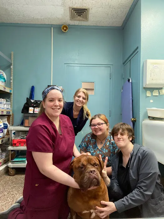 Paumanok Veterinary Hospital Picture 1