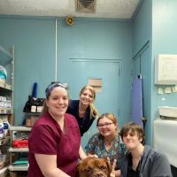 Paumanok Veterinary Hospital ico