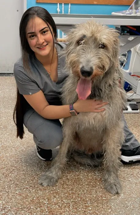 Paumanok Veterinary Hospital Picture 10