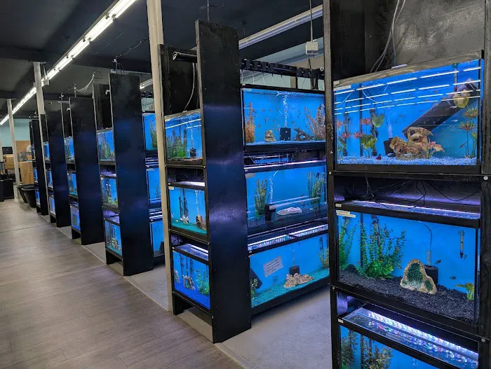 Tropical Fish World Picture 2