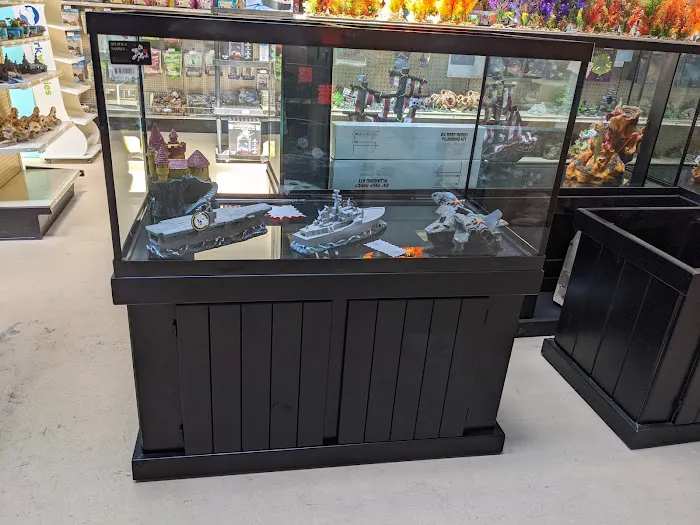 Tropical Fish World Picture 3