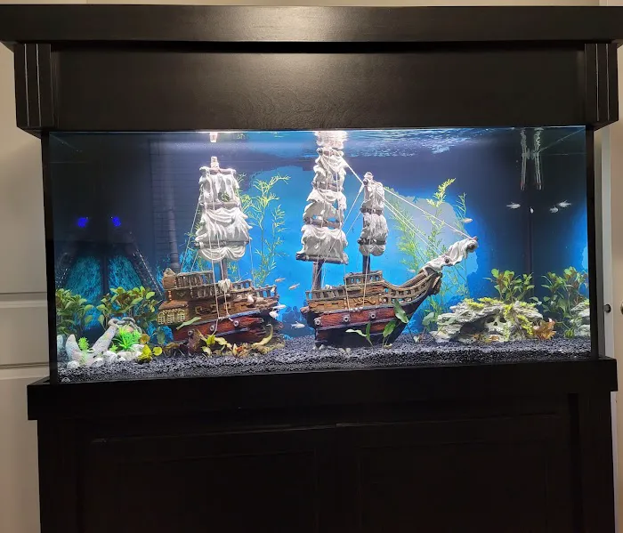 Tropical Fish World Picture 5