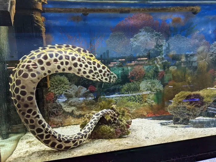 Tropical Fish World Picture 9