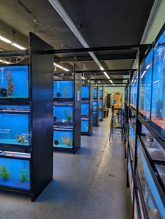 Tropical Fish World Picture 4